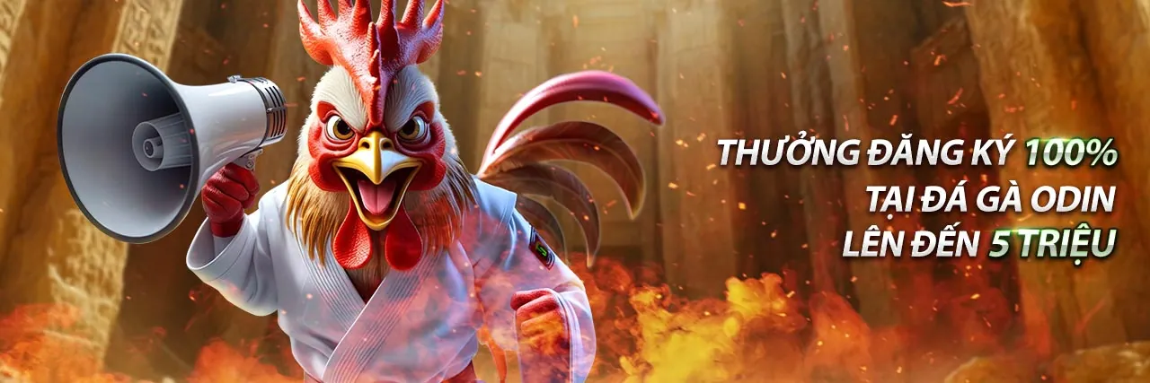 Sân vận động với đèn sáng, thể hiện sự sôi động của cá cược thể thao tại 32win.com